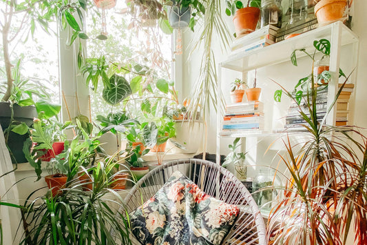 Transform Your Space: Ultimate Guide to Indoor Garden Systems