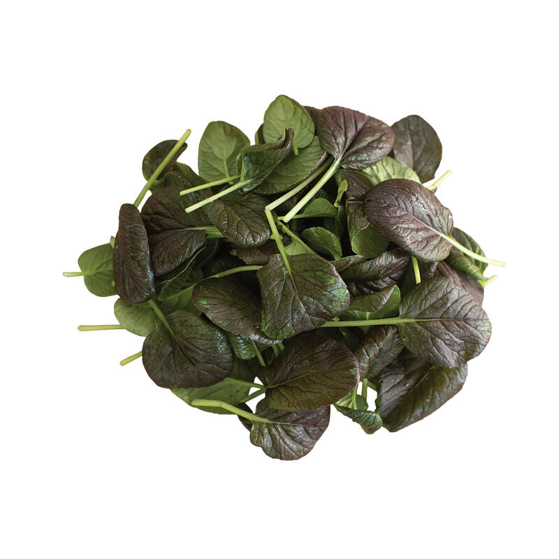 Elfsys Bundle - Summer Greens Mix