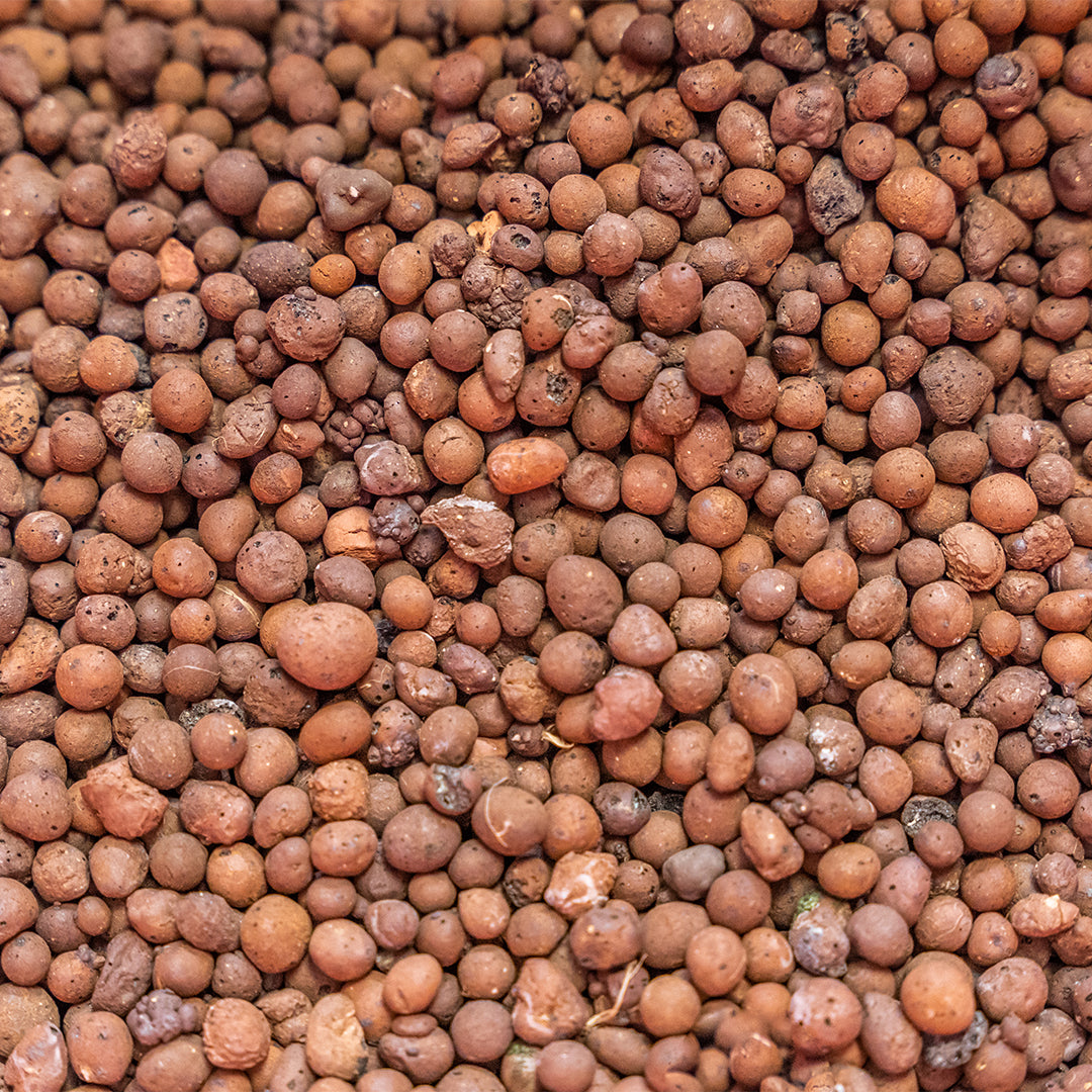 LECA Clay Growing Medium