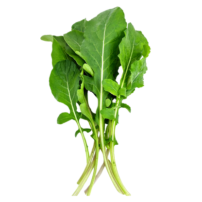 Elfsys Bundle - Fall Greens Mix