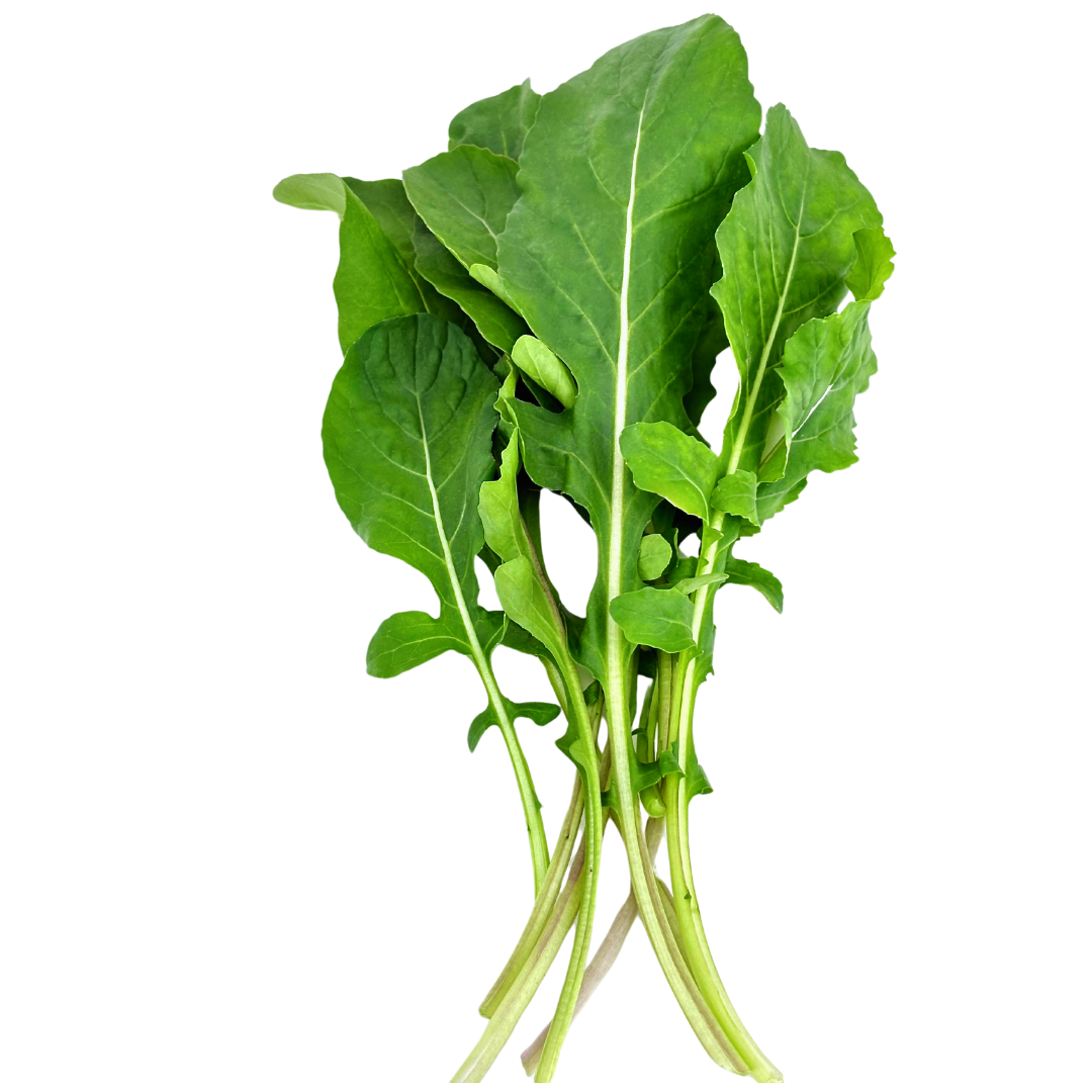 Elfsys Bundle - Spring Greens Mix