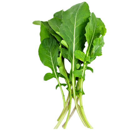 Elfsys Bundle - Spring Greens Mix