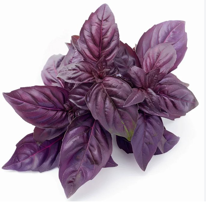 Elfsys Bundle - Spring Herb Mix