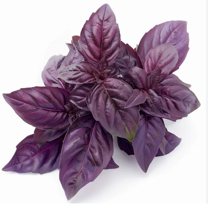 Elfsys Bundle - Spring Herb Mix