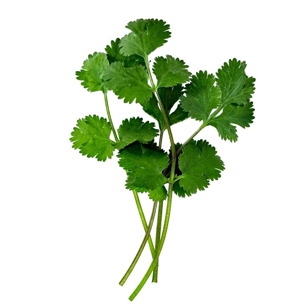 Elfsys Bundle - Fall Herb Mix