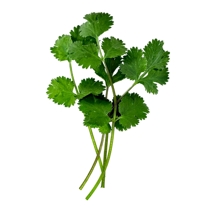 Elfsys Bundle - Spring Herb Mix