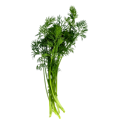 Elfsys Bundle - Spring Herb Mix