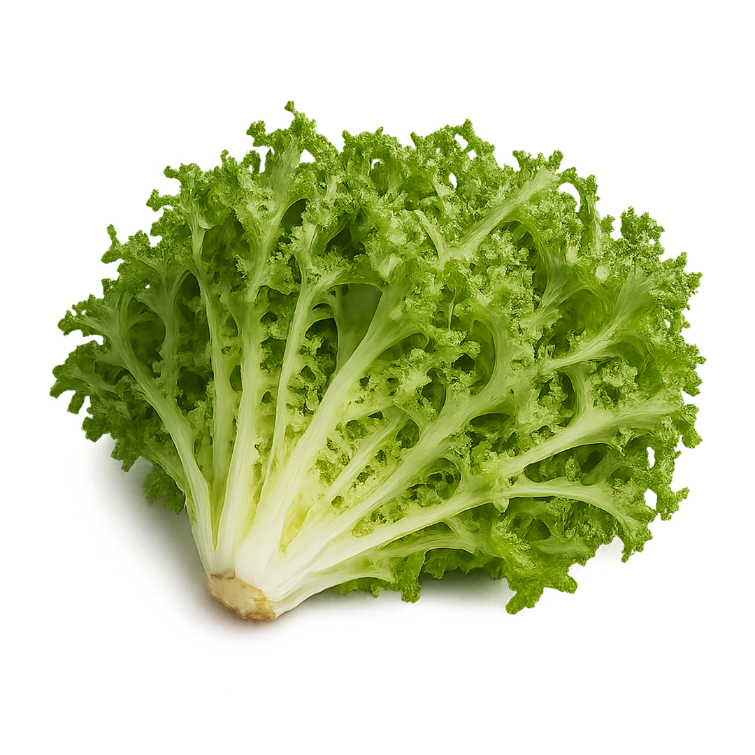 Elfsys Bundle - Fall Greens Mix