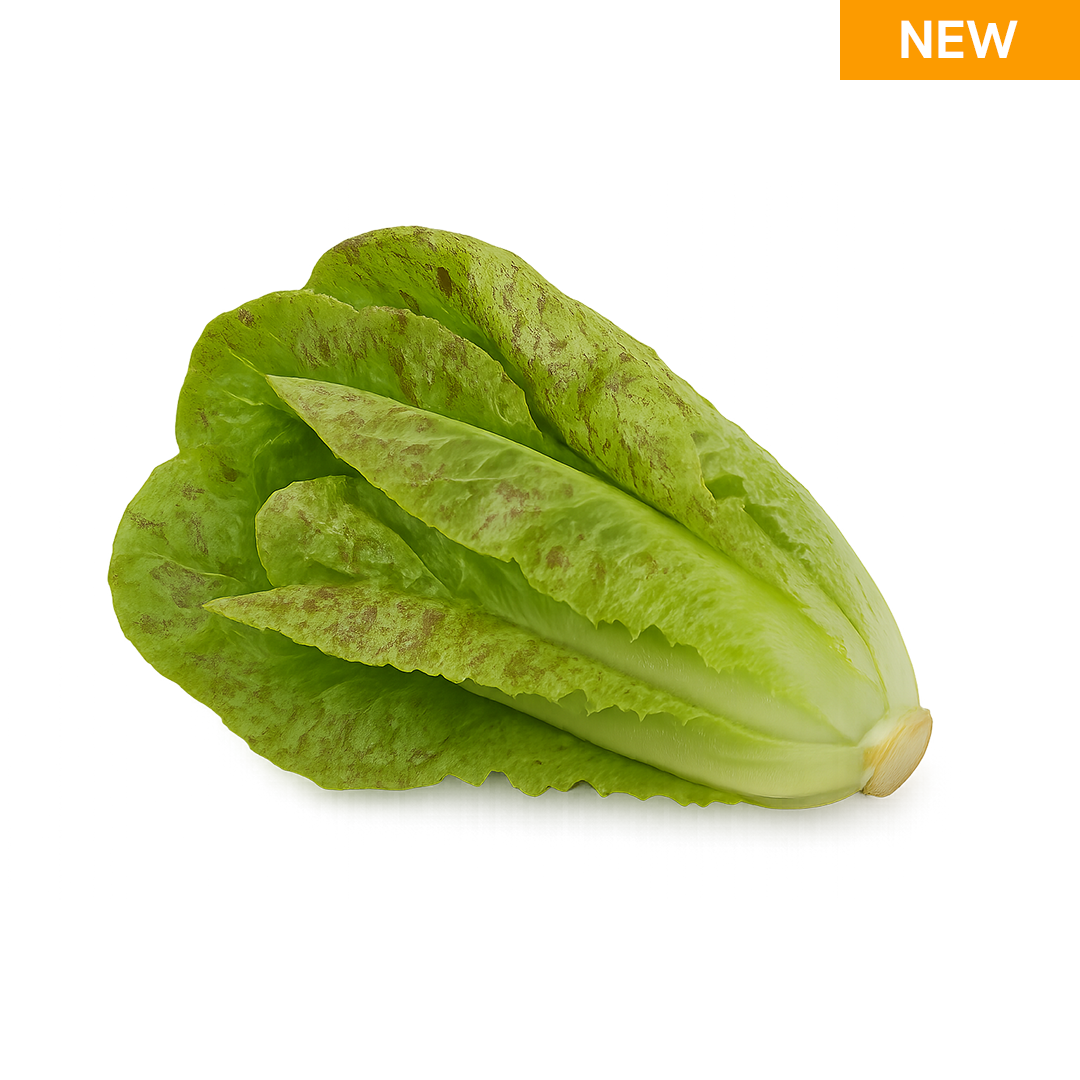 Elfsys Bundle - Fall Lettuce Mix