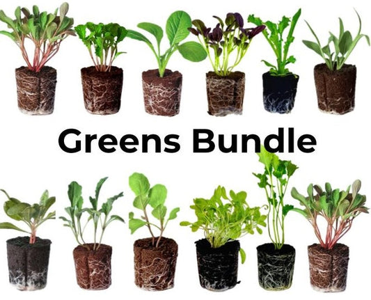 Elfsys Bundle - Fall Greens Mix