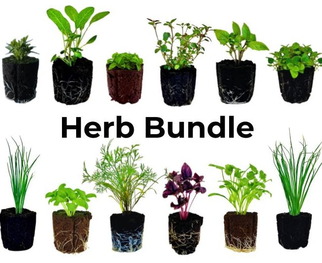 Elfsys Bundle - Spring Herb Mix