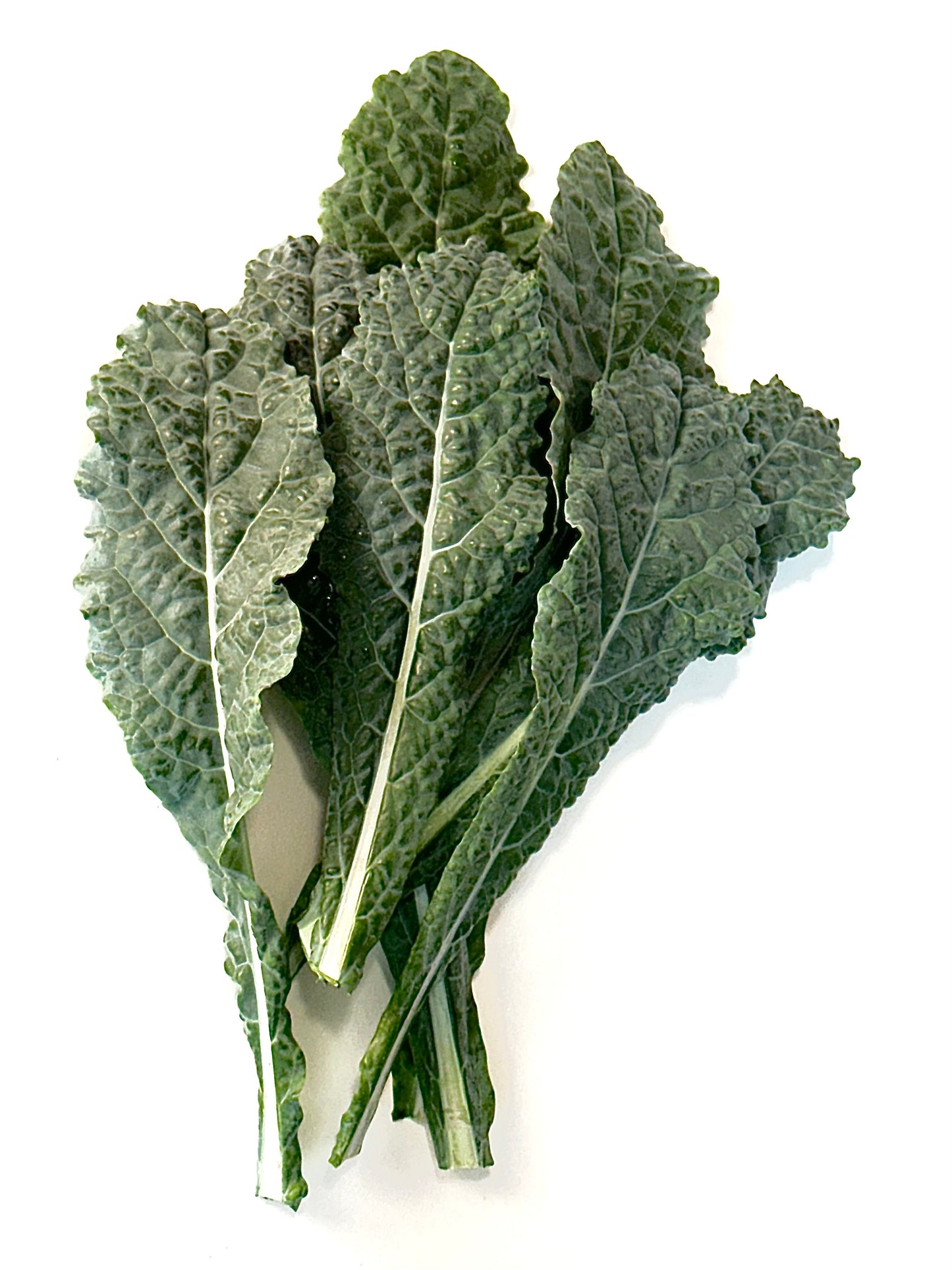 Elfsys Bundle - Spring Greens Mix