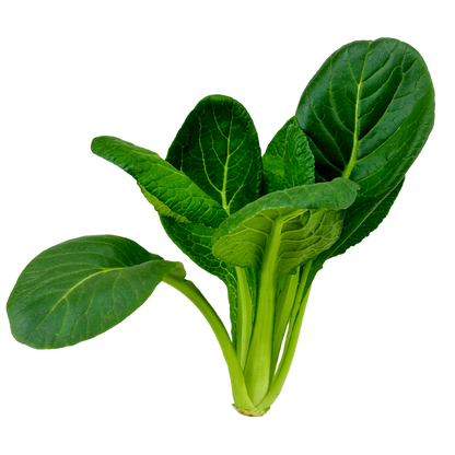 Elfsys Bundle - Spring Greens Mix