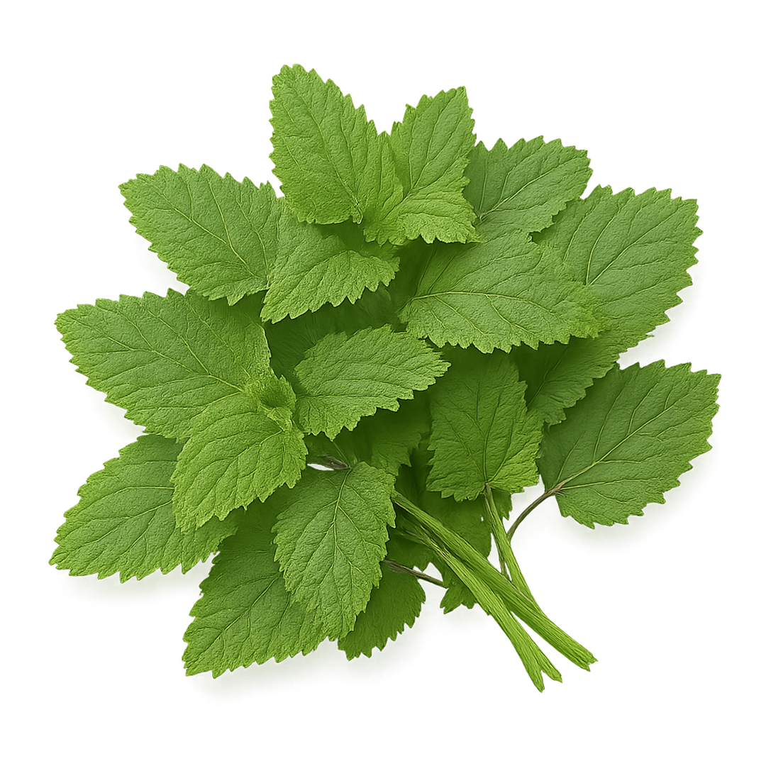 Elfsys Bundle - Fall Herb Mix