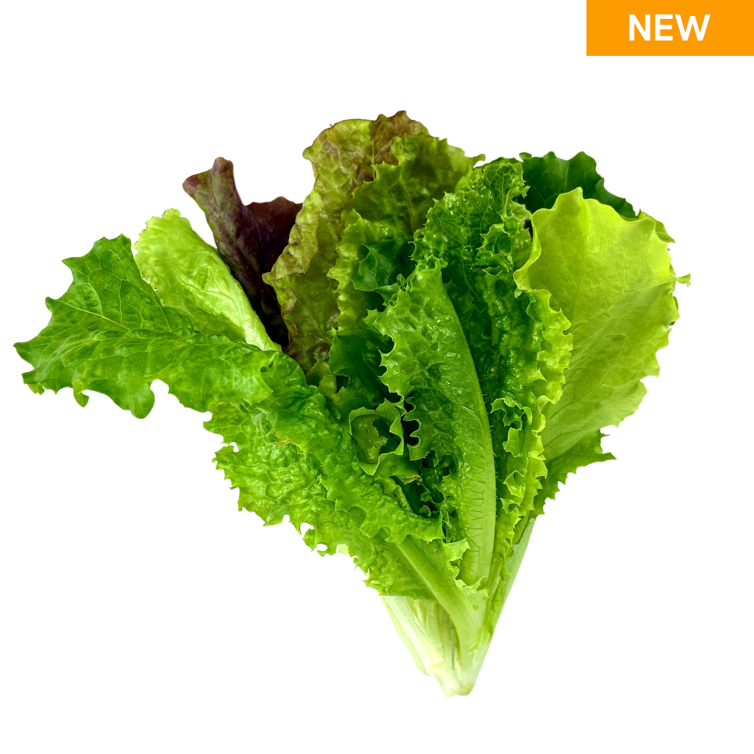 Elfsys Bundle - Fall Lettuce Mix