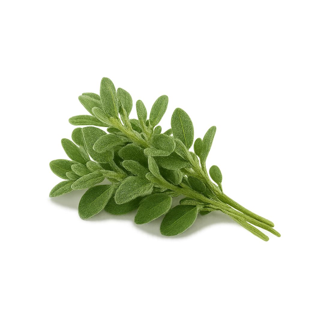 Elfsys Bundle - Fall Herb Mix