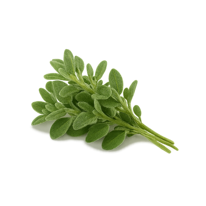 Elfsys Bundle - Fall Herb Mix