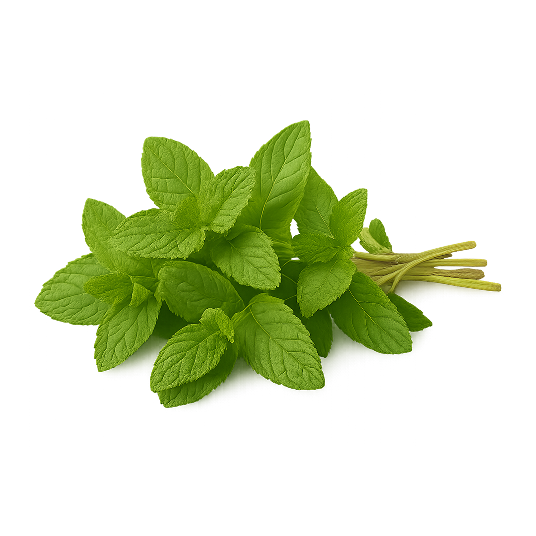 Elfsys Bundle - Fall Herb Mix