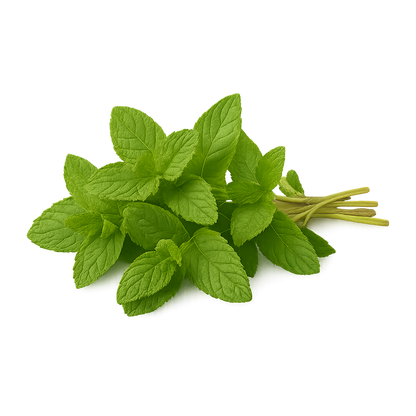 Elfsys Bundle - Fall Herb Mix