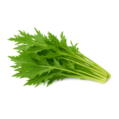 Elfsys Bundle - Fall Greens Mix