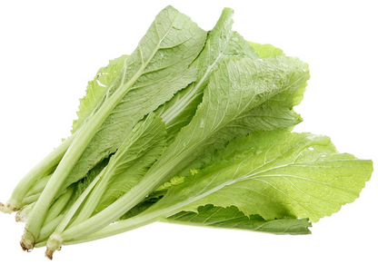 Elfsys Bundle - Spring Greens Mix