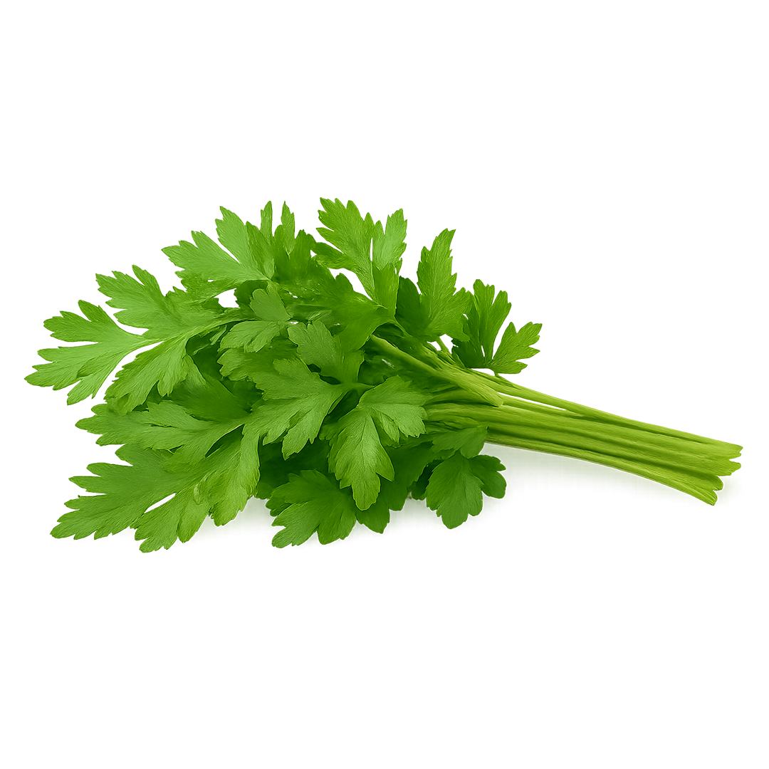 Elfsys Bundle - Fall Herb Mix