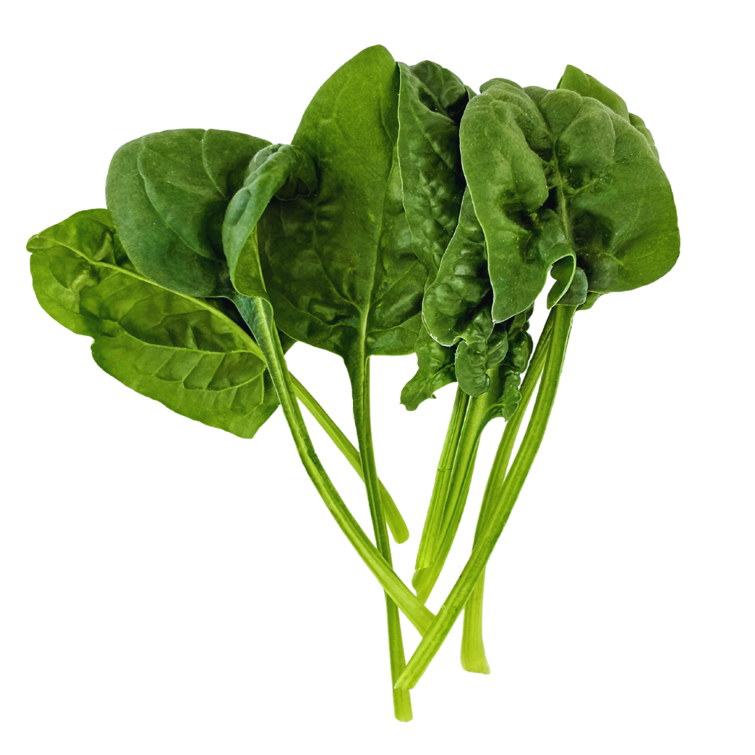 Elfsys Bundle - Spring Greens Mix