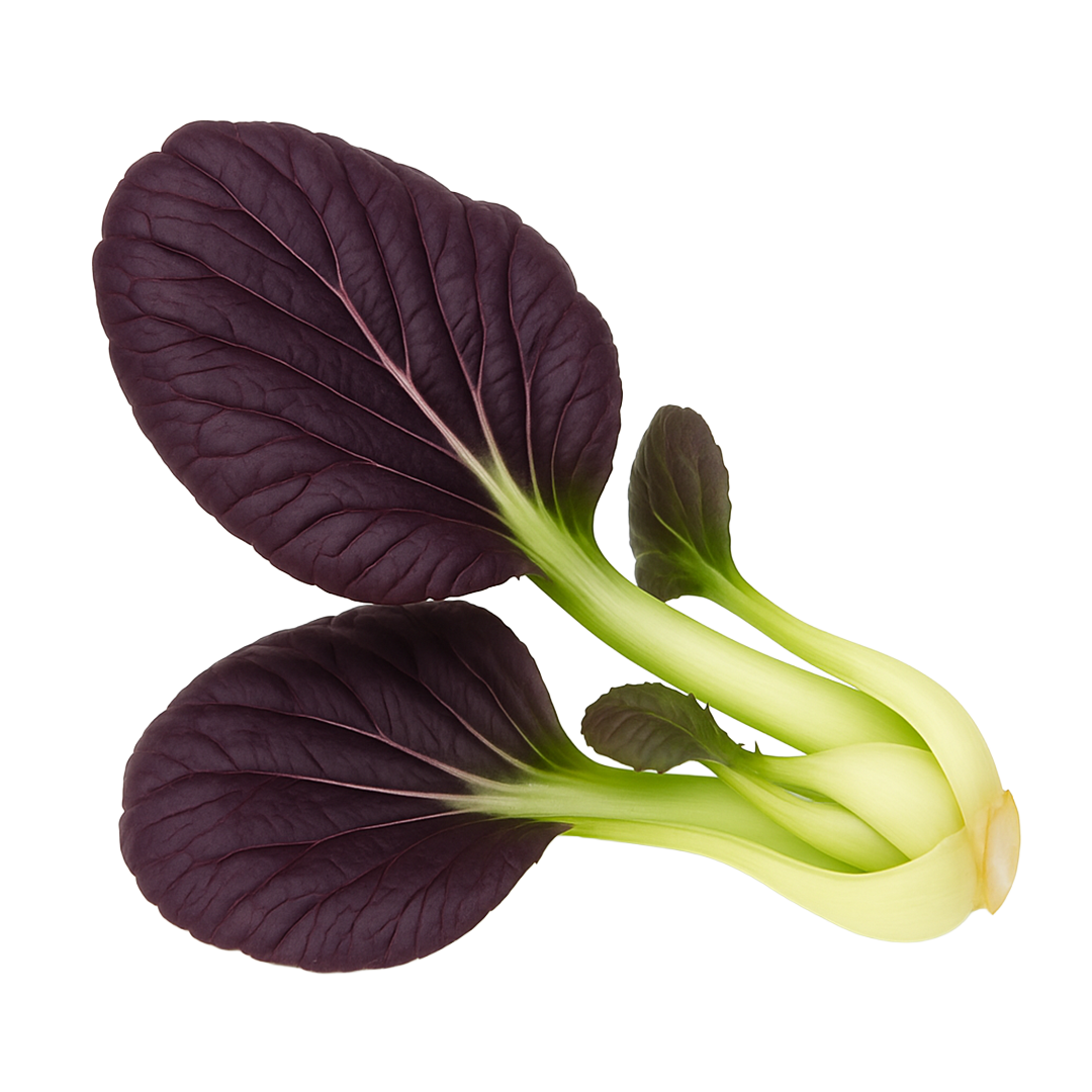 Elfsys Bundle - Fall Greens Mix