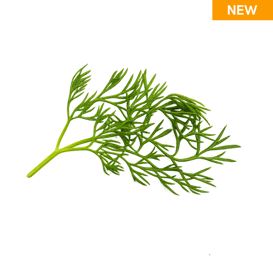 Elfsys Bundle - Fall Herb Mix