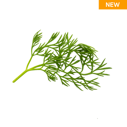 Elfsys Bundle - Fall Herb Mix