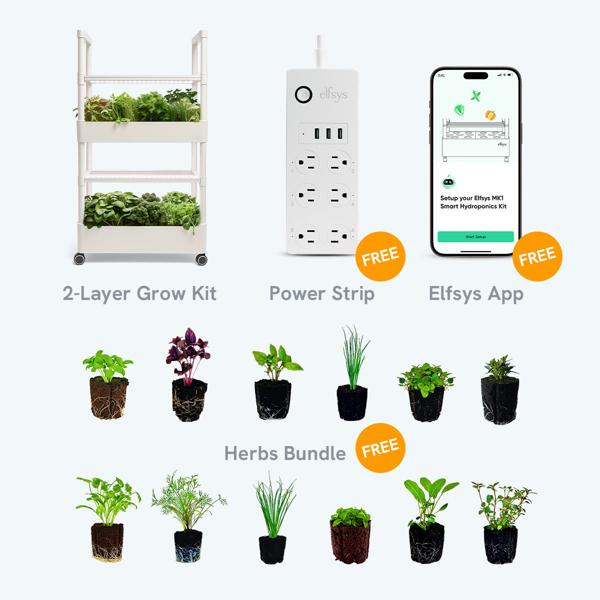 Herbs Bundle