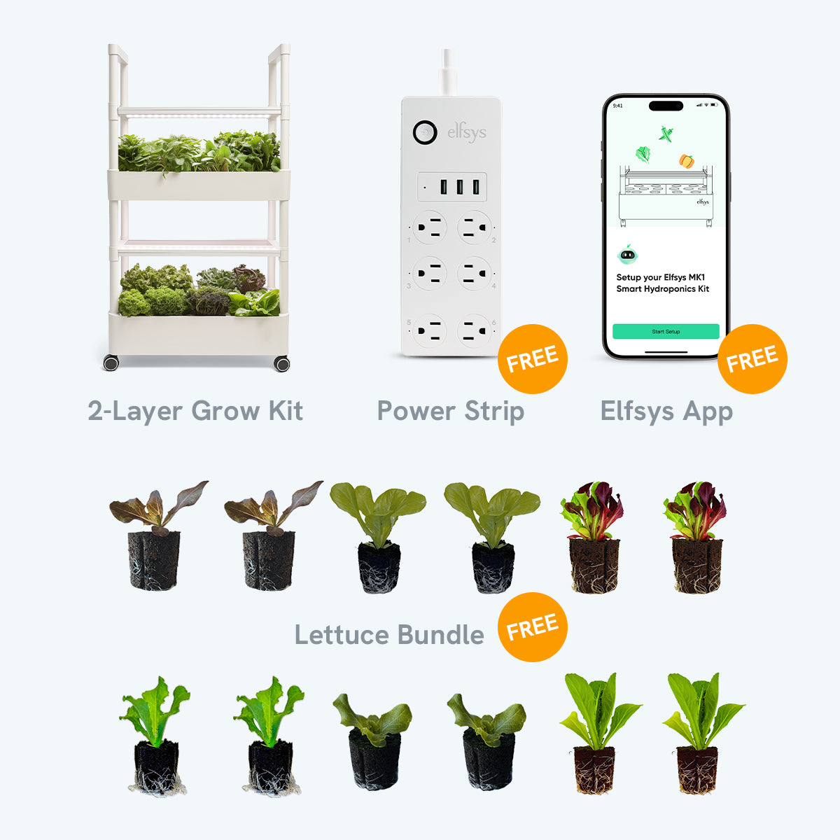 Lettuce Bundle