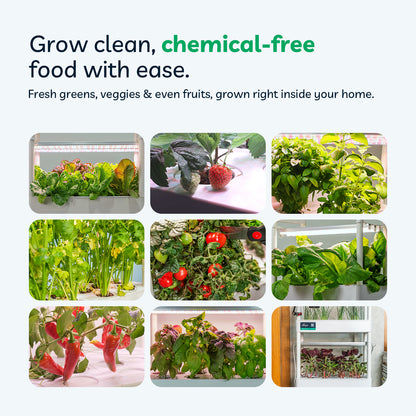 Elfsys Grow Kit V1.4