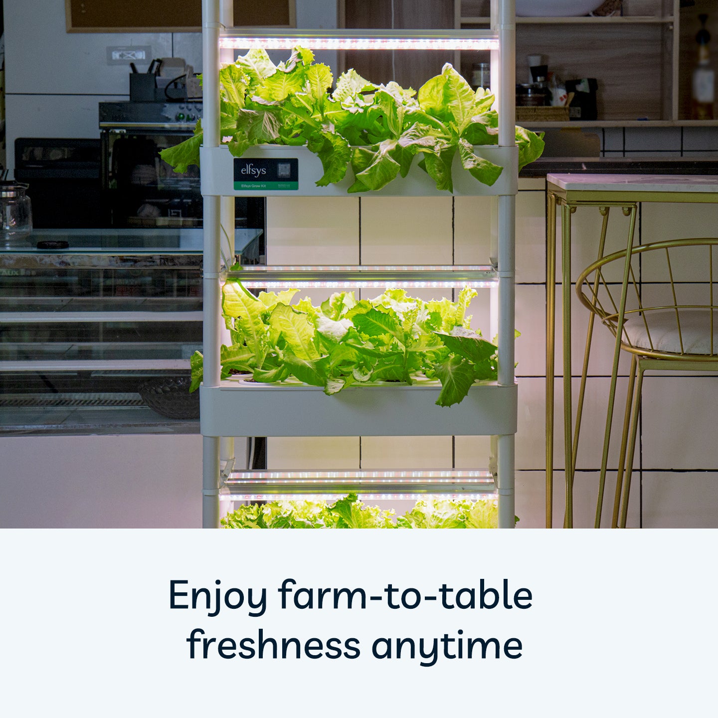 Elfsys Grow Kit V1.4