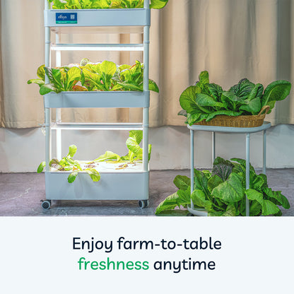 Elfsys Grow Kit V1.4