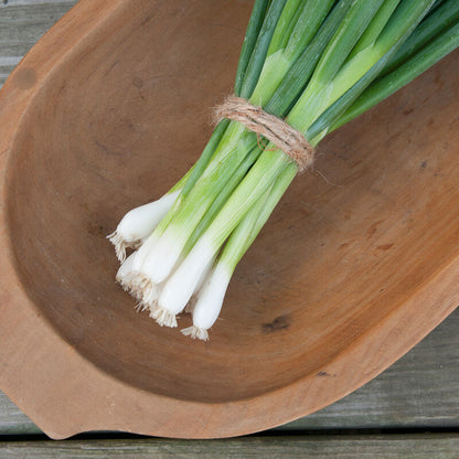 Elfsys Bundle - Spring Herb Mix