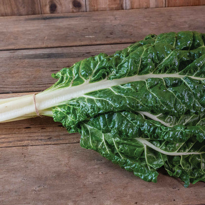 Elfsys Bundle - Spring Greens Mix