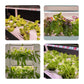 Grow Kit